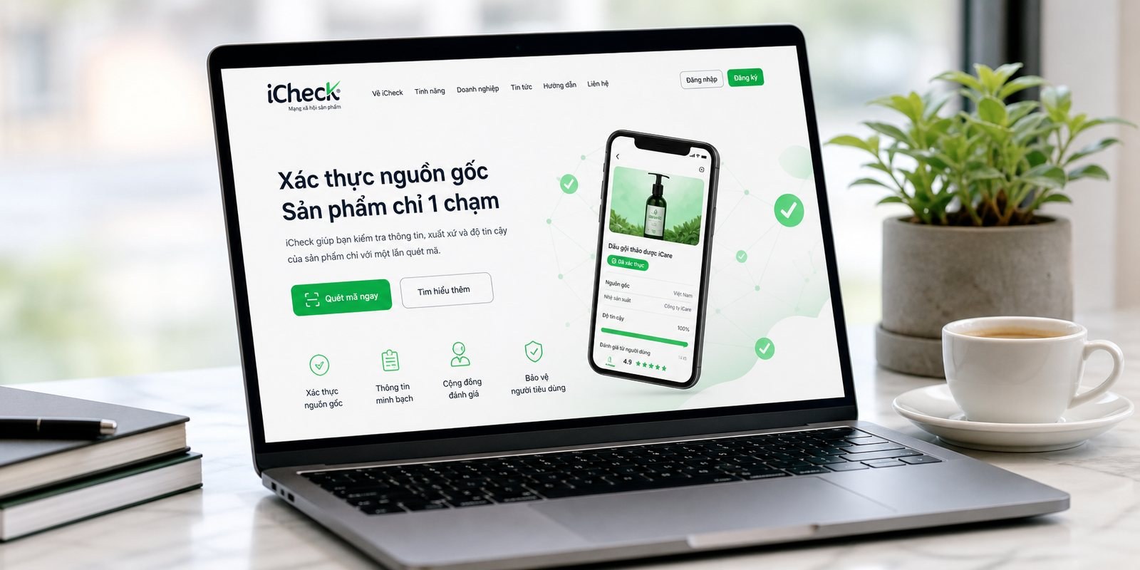 Website và bộ ấn phẩm văn phòng iCheck