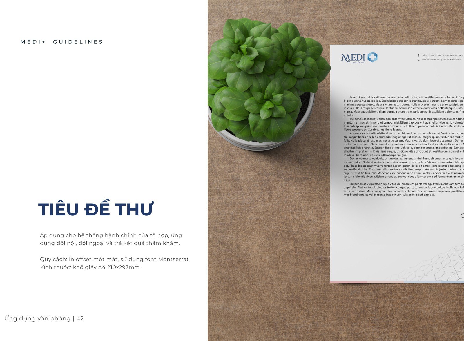 Tiêu đề thư Tiêu đề thư MEDI Plus