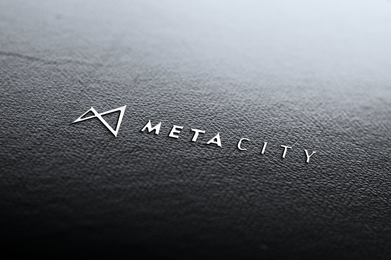 Biểu tượng Metacity ép nhũ trên bìa da